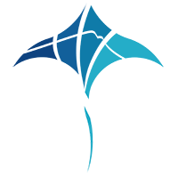 Pan Team | Natation course